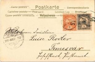 1901 Souvenir from the Barnum & Bailey "Greatest Show on Earth" Aus dem Circus Aquarel...