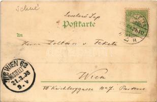 1903 Art Nouveau, litho art postcard. Druck u. Verlag Louis Glaser (EK)