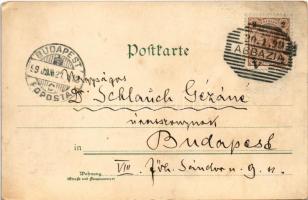 1899 (Vorläufer) Gruss... Art postcard with seasick, vomiting passengers on board of a steamship, hu...