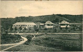 Báznafürdő, Baile Bazna, Bad-Baassen; Vila Sorento si Éltető / Sorento és Éltető villa. Holzträger és Zammerer kiadása / villas, spa (fl)