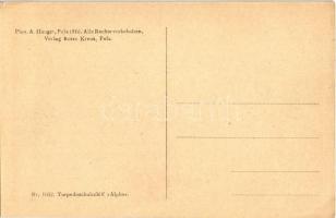 K.u.K. Kriegsmarine S.M.S. Alpha (ex Greif II) Torpedoschulschiff / SMS ALPHA (Alfa) cs. és kir. had...