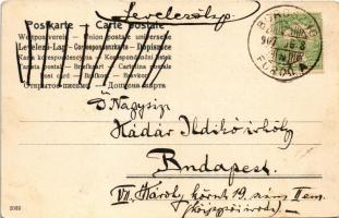 1907 Gently erotic lady art postcard with cats. litho (EK)