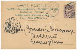 1901 Dragonflies and frogs. "Xylochrom" Gebr. Richter, Dresden Art Nouveau, litho (vágott ...