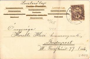 1901 Boldog Újévet / New Year greeting art postcard, lady with crossbow, clovers (EK)