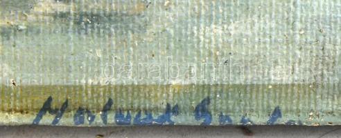 Halvax Gyula (1906-1984): Hullámzó Balaton, háttérben a Badacsony. Olaj, vászon, jelezve jobbra lent...