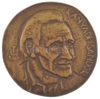 Tőrös Gábor (1934-2021) 1987 "Kányádi Sándor " bronz emlékérem (100mm) T:1- felül peremén lyukasztott.