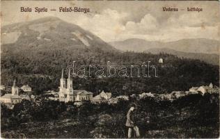 Felsőbánya, Baia Sprie; látkép. Dácsek Péter kiadása / general view (Rb)