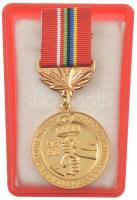 Szovjetunió 1978. Szojuz-gázvezeték építésének emlékére fém kitüntetés mellszalagon, tokban (37mm) T:UNC Soviet Union 1978. For the Construction of the Main Natural Gas Pipeline Soyuz metal medal with ribbon, in plastic case (37mm) C:UNC