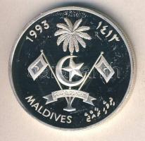 Maldív-szigetek 1993. 250R Ag "Labdarúgó VB" T:PP