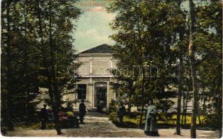 Buziásfürdő, Baile Buzias; Phönix fürdő. Francz József kiadása / spa (EB)