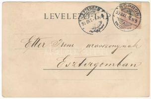 1899 (Vorläufer) Sopron, Oedenburg; Városliget és vendéglő / Villen Restauration. L. Kummert No. 95