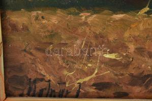 Molnár J jelzéssel: Felhős táj. Olaj, rétegelt falemez. Dekoratív, sérült fakeretben, 59x49 cm