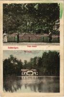 1914 Szászrégen, Reghin; Park részlet, tó / park, lake (r)