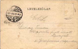 1901 Lugos, Lugoj; látkép, Grünberger Ede üzlete. Auspitz Adolf kiadása / general view, shops (EB)