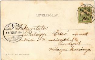 1906 Brassó, Kronstadt, Brasov; Rezső park, szökőkút. M. T. és F. I. Koch Willy kiadása / park, foun...