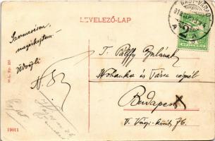 1913 Nagyvárad, Oradea; Fekete Sas nagyszálloda, Grosz üzlete, piac. W.L. Bp. 251. / hotel, shops, m...