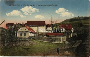 Medgyes, Mediasch, Medias; Partie an der Hermannstädter-Straße / Nagyszebeni út részlete. Fritz Guggenberer kiadása / street view, road (fl)