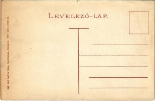 Kolozsvár, Cluj; régi bástya, Voith Tivadar és Streck József üzlete. Stief Jenő kiadása / old bastio...