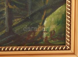 Olvashatatlan jelzéssel: Hegyvidéki táj. Olaj, vászon, kartonra kasírozva. Dekoratív fakeretben. 60x...