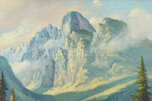 Olvashatatlan jelzéssel: Hegyvidéki táj. Olaj, vászon, kartonra kasírozva. Dekoratív fakeretben. 60x...