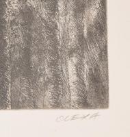 Olexa József (1960-): Pirkadat (Dawning). Rézkarc, papír, jelzett, egyedi nyomat, üvegezett keretben...