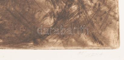 Olexa József (1960-): Fényes föld. Hidegtű, papír, jelzett, számozott (XV/XXX), üvegezett fakeretben...