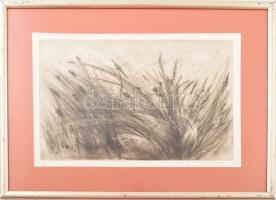 Olexa József (1960-): Vad füvek. Hidegtű, papír, jelzett, egyszeri nyomat, üvegezett keretben, 20×33 cm