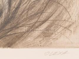 Olexa József (1960-): Vad füvek. Hidegtű, papír, jelzett, egyszeri nyomat, üvegezett keretben, 20×33...