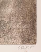 Olexa József (1960-): Erdei tisztás. Rézkarc, papír, jelzett, egyszeri nyomat, üvegezett keretben, 3...