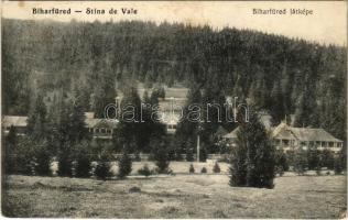 1912 Biharfüred, Stana de Vale, Stina de Vale; látkép, nyaralók / general view, villas (fl)