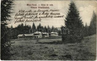 1910 Biharfüred, Stana de Vale, Stina de Vale; látkép, nyaralók / general view, villas (EK)