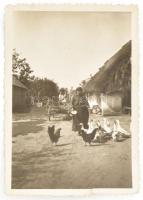 cca 1930 2 darab baromfietetés témájú fotó, nagyobbik üvegezett keretben 26x20 cm, kisebbik kis szak...