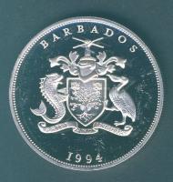 Barbados 1994. 5$ Ag "Labdarúgó VB" T:exPP