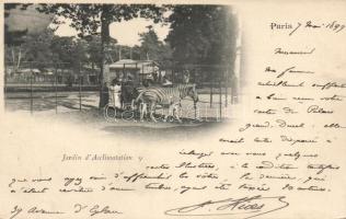 1899 Paris, ZOO