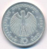 Németország 2005A 10E Ag "Labdarúgó VB 2006" T:AU patina 
Germany 2005A 10 Euro Ag "...