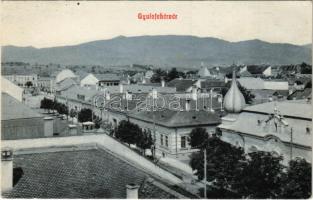 1909 Gyulafehérvár, Alba Iulia; látkép / general view