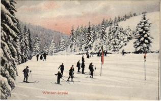 Winter-Idylle / Téli sport, síelők / Winter sport, skiing