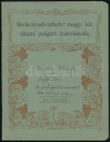 1909-1910 Székelyudvarhelyi magy. kir. állami polgári leányiskola 2 db dekoratív füzete (Zabolai Szé...