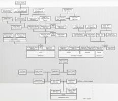Életképek. A Felvidékről kitelepített és Komáromban letelepedett családok albuma. Komárom, 2009., Ke...