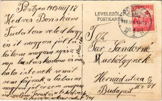 1918 Pöstyén, Piestany; Kilátás a Kárpátokra / view to the Carpathian Mountains (EK)