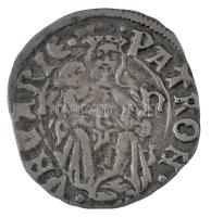 1498-1503. Denár Ag "II. Ulászló" (0,59g) T:XF 
Hungary 1498-1503. Denar Ag "Wladisl...