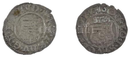 1579K-B Denár Ag Rudolf (2xklf) (0,48g, 0,72g) T:XF,VF patina Hungary 1579K-B Denar Ag Rudolf (2xdiff) (0,48g, 0,72g) C:XF,VF patina Huszár: 1058.,Unger II.: 810.a ; Huszár: 1059.,Unger II.: 811.a