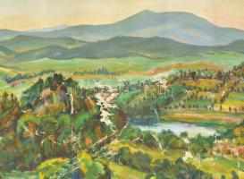 Nolipa István Pál (1907-1986): Hegyvidéki táj. Olaj, vászon. Jelezve jobbra lent. Hátoldalán autográ...