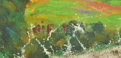 Nolipa István Pál (1907-1986): Hegyvidéki táj. Olaj, vászon. Jelezve jobbra lent. Hátoldalán autográ...