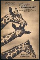 1963-1974 Élet és Tudomány folyóirat 5 száma, bennük 1848-49-es témájú írásokkal is: Asbóth Sándor 1...