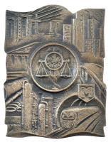 1979. "Pénzügyi Törvény" kétoldalas fém plakett eredeti tokban (~112x90mm) T:AU