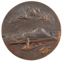 1980. Egyoldalas, öntött bronz repülő sport plakett a Magyar Államvasutak logójával, dísztokban benne 1930-1980 50 éves az MHSZ-MÁV Repülő és Ejtőernyős Klub (~88-89mm) T:AU