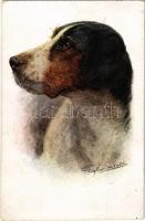 1934 Kutya / Dog. A.R. &amp; Co. I.B. 1504. s: Von Valter (fa)