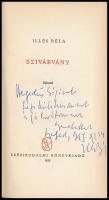 Illés Béla: Szivárvány. Bp., 1959, Szépirodalmi Könyvkiadó. Első kiadás. Kiadói egészvászon-kötés, m...