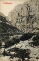 1913 Tordai-hasadék, Cheile Turzii, Turda; gorge